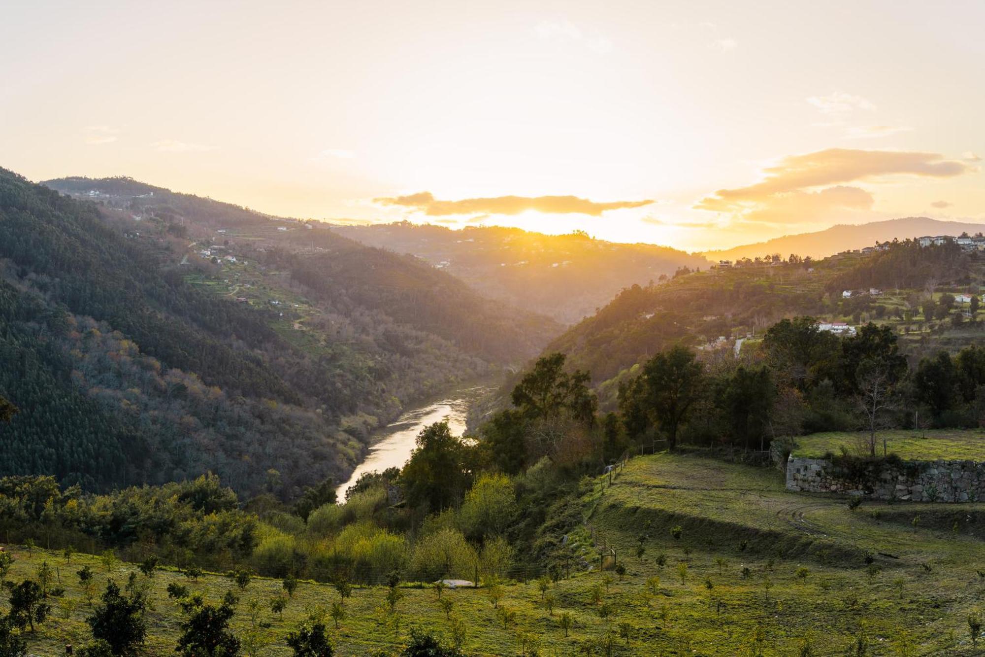 Javardo - Family House - Douro Penha Longa 외부 사진