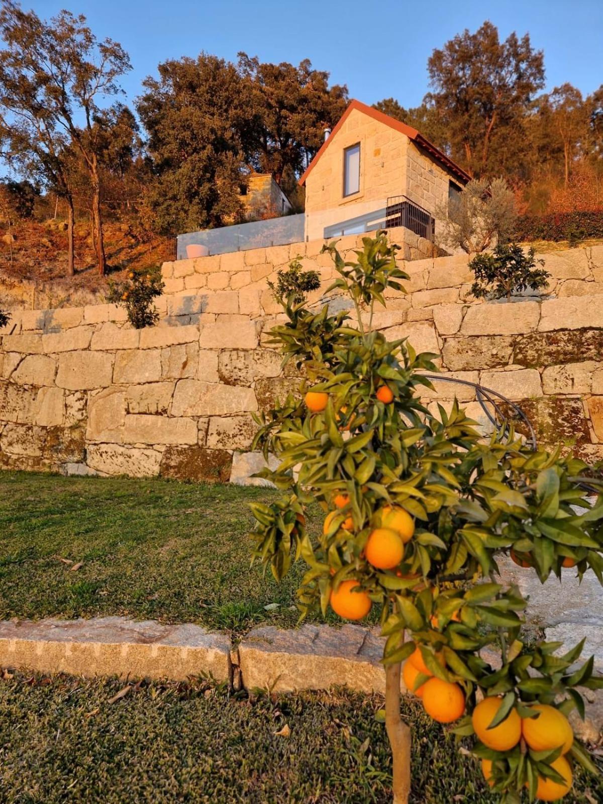 Javardo - Family House - Douro Penha Longa 외부 사진